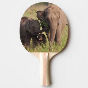 Raquette De Ping Pong Famille d'éléphants d'Asie indiens dans la savane
