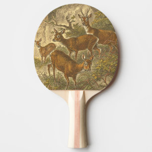Raquette De Ping Pong Famille des oeufs de poisson - cerfs communs dans