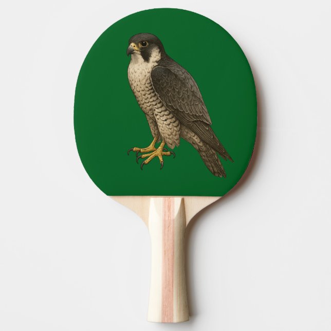 Raquette De Ping Pong Faucon migrant (Devant)