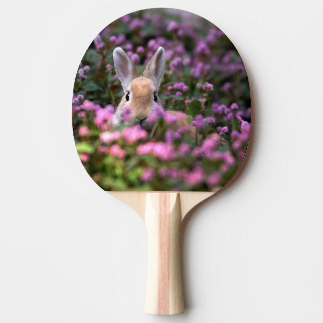 Raquette De Ping Pong Ferme de lapins (Devant)