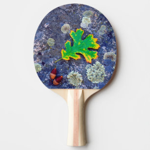 Raquette De Ping Pong Feuille de chêne et glands sur une roche couverte