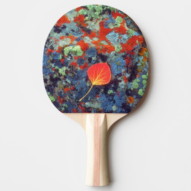 Raquette De Ping Pong Feuille de tremble sur une roche couverte de liche (Devant)