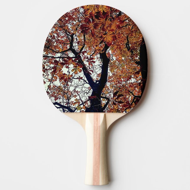 Raquette De Ping Pong Feuille d'or (Devant)