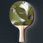 Raquette De Ping Pong feuille verte méditer nature jardin branche photo<br><div class="desc">Pour méditer sur la création de Dieu. Quelle finesse dans les détails,  n'est-ce pas? La nature n'est elle pas parfaite selon un parfait Créateur? Méditons ensemble sur la création de Dieu. 

Bon achat & bonne méditation</div>