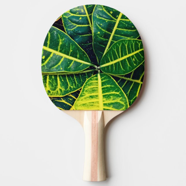 Raquette De Ping Pong Feuilles verts (Devant)