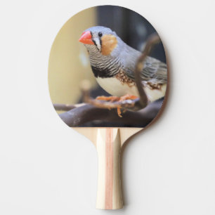 Raquette De Ping Pong Finch