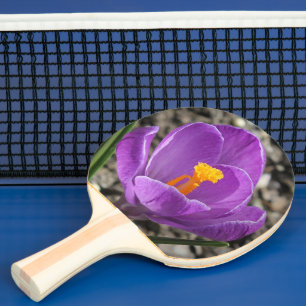Raquette De Ping Pong Fleur de crocus mauve printanière photo à 2 faces