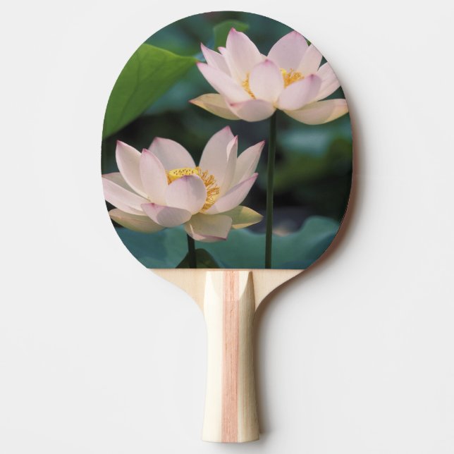 Raquette De Ping Pong Fleur de lotus en fleurs, Chine (Devant)