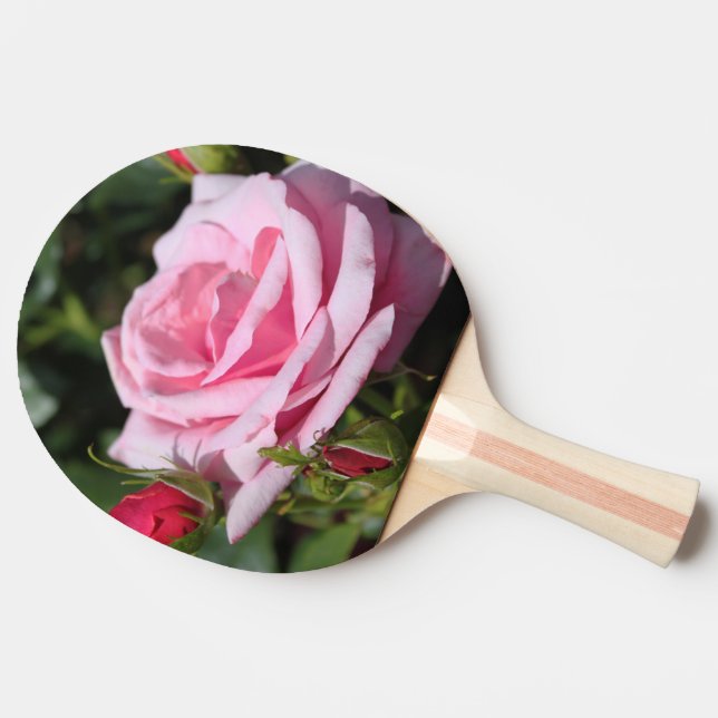 Raquette De Ping Pong fleur de rose parfaite et bourgeons. amour, freind (Côté)