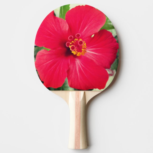 Raquette De Ping Pong Fleur rouge de Hibiscus Rosa-sinensis (Devant)