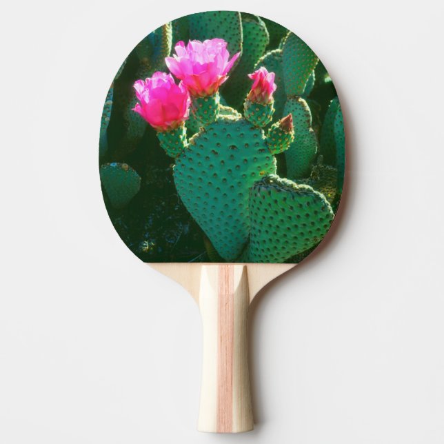 Raquette De Ping Pong Fleurs de Cactus Beavertail (Devant)