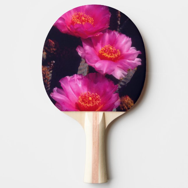 Raquette De Ping Pong Fleurs de Cactus Beavertail 2 (Devant)