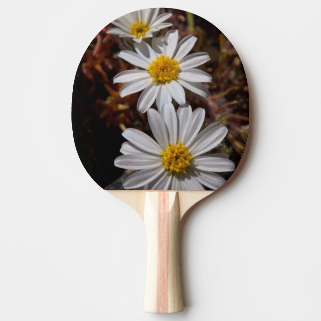 Raquette De Ping Pong Fleurs sauvages Desert Star (Devant)