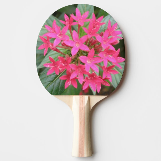 Raquette De Ping Pong Fleurs tropicales rose vif Ping Paddle (Devant)