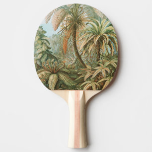 Raquette De Ping Pong Fougères, Filicinae Laubfarne par Ernst Haeckel