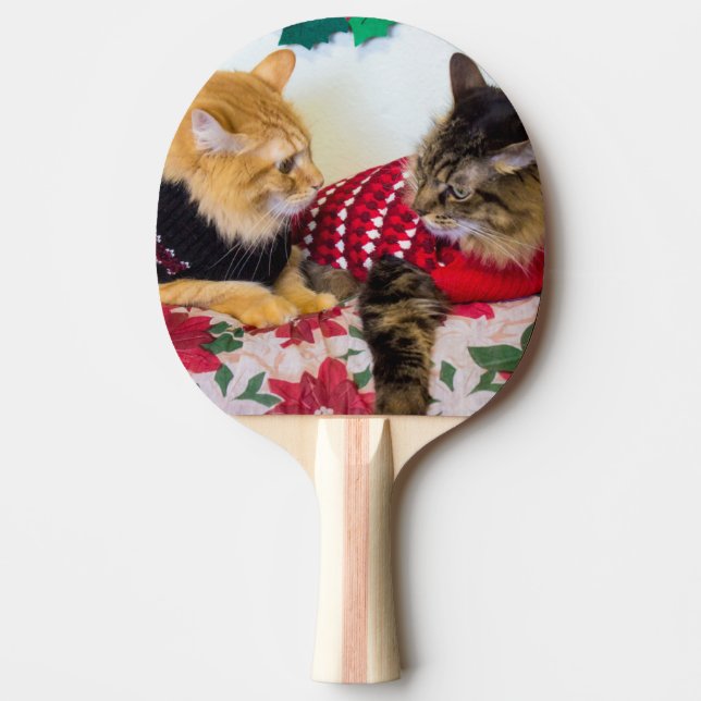 Raquette De Ping Pong Frères (Devant)
