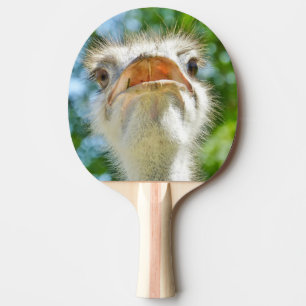 Raquette De Ping Pong Funny Ostrich Animal Photo