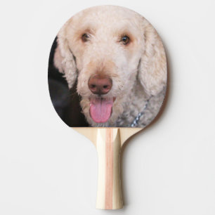 Raquette De Ping Pong Fuzzy