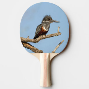 Raquette De Ping Pong Giant Kingfisher