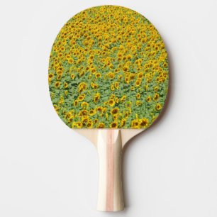 Raquette De Ping Pong Gisement jaune de tournesol