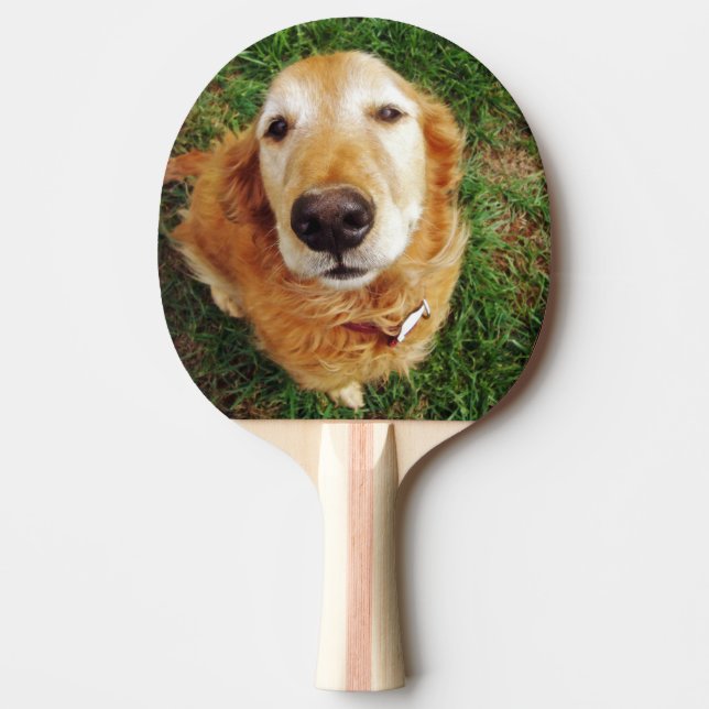 Raquette De Ping Pong Golden Retriever (Devant)