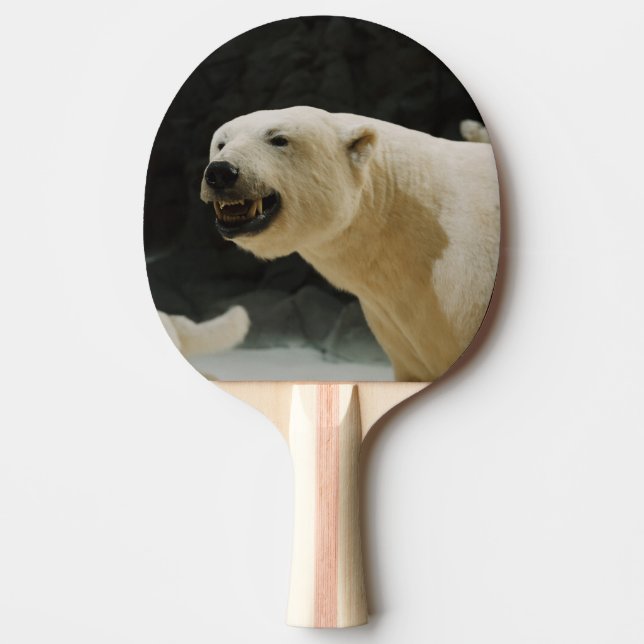 Raquette De Ping Pong Graine d'ours polaire (Devant)
