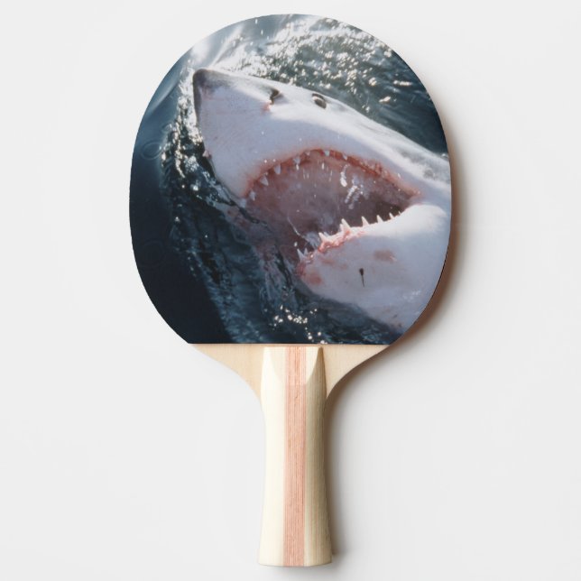 Raquette De Ping Pong Grand requin blanc sur la mer (Devant)