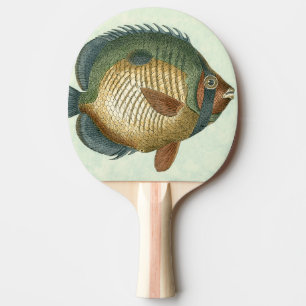 Raquette De Ping Pong Grands poissons colorés