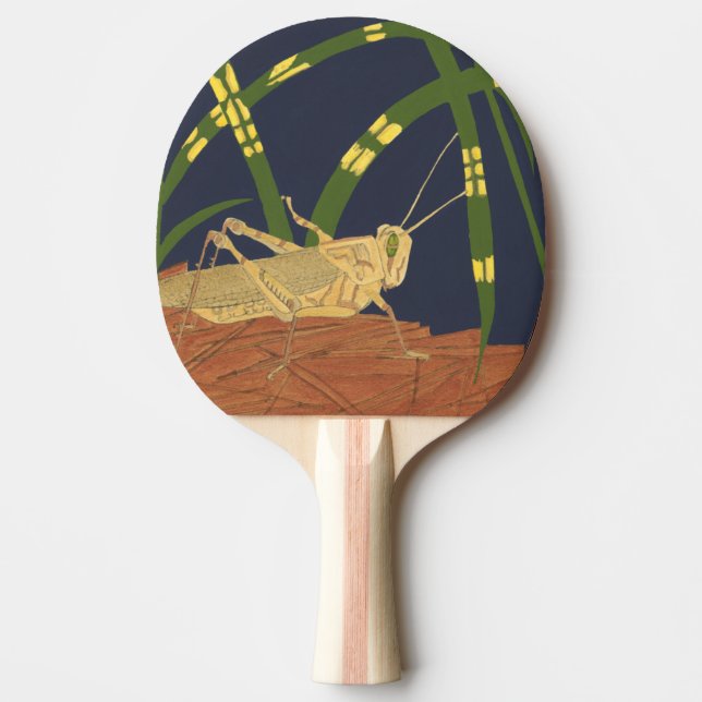 Raquette De Ping Pong Grasshopper en Grass vert sur Arrière - plan bleu (Devant)