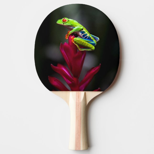 Raquette De Ping Pong Grenouille aux yeux rouges (Devant)