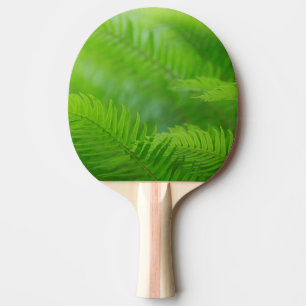Raquette De Ping Pong Gros plan de fougère sword