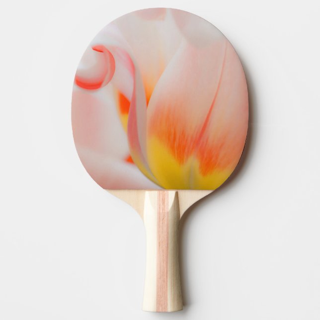 Raquette De Ping Pong Gros plan de tulipe 3 (Devant)