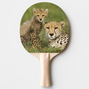 Raquette De Ping Pong Guépard, Acinonyx jubatus, avec un petit