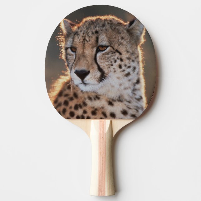 Raquette De Ping Pong Guépard regardant ailleurs (Devant)