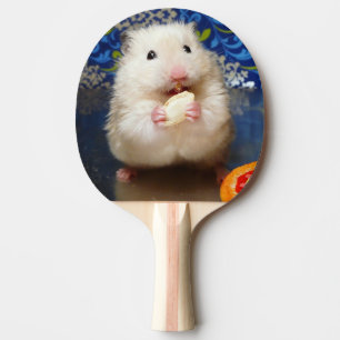 Raquette De Ping Pong Hamster syrien pelucheux Kokolinka mangeant une