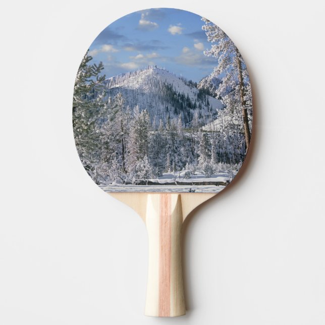 Raquette De Ping Pong Hiver dans le parc national de Yellowstone, Wyomin (Devant)
