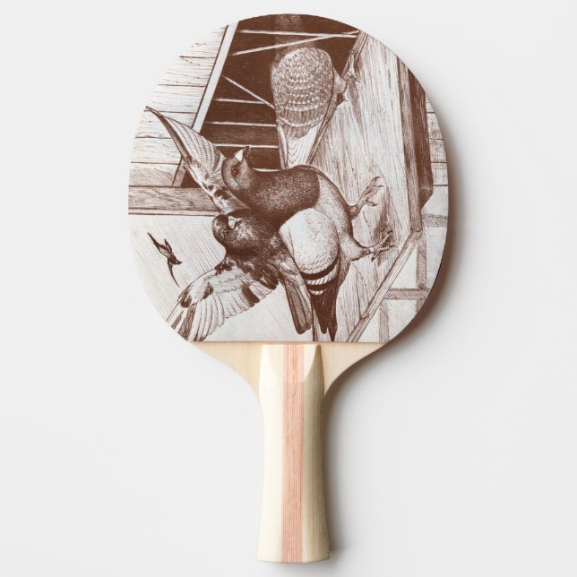 Raquette De Ping Pong Homecoming Homecoming Homes (Devant)