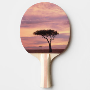 Raquette De Ping Pong Image de la silhouette d'un arbre acacia au lever 