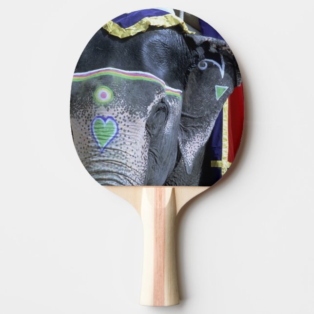 Raquette De Ping Pong Inde, Rajasthan, Jaipur. Fort d'Amber. (Devant)