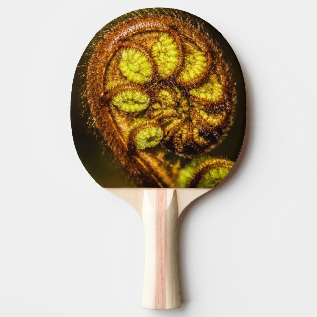 Raquette De Ping Pong Jeunes Feuilles de Fern (Devant)