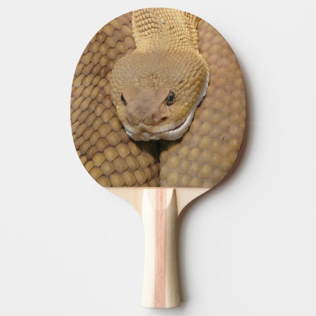 Raquette De Ping Pong Joyeux Anniversaire Serpent Ping Pong Paddle (Devant)