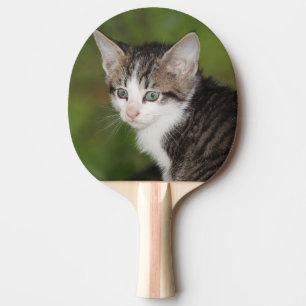 Raquette De Ping Pong Kitten
