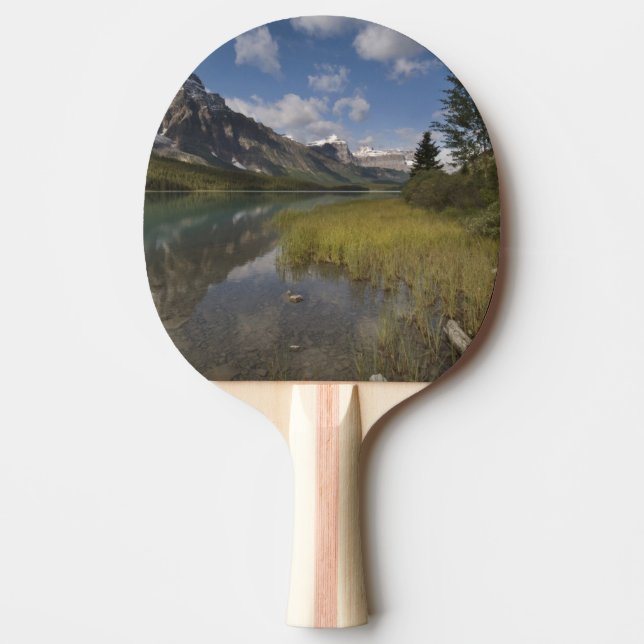 Raquette De Ping Pong Lac aux oiseaux d'eau le long de l'Icefields Parkw (Devant)
