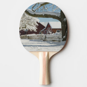 Raquette De Ping Pong L'Amérique du Nord, Etats-Unis, WA, île de