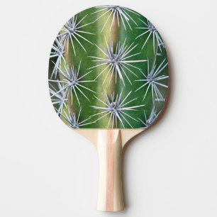 Raquette De Ping Pong Le jardin botanique de Huntington, Cactus Pieuvre