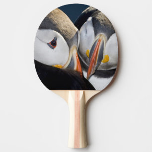 Raquette De Ping Pong Le Macareux atlantique, un oiseau de mer pélagique