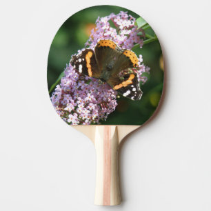 Raquette De Ping Pong Le papillon de l'amiral rouge et le pong bouddleia
