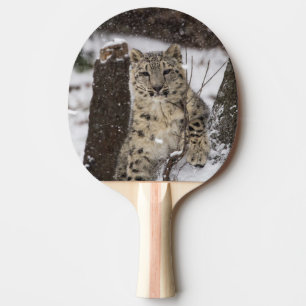 Raquette De Ping Pong Léopard de neige CUB