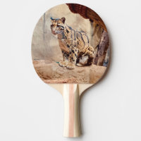 léopard nébuleux image nature faune exotique
