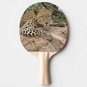 Raquette De Ping Pong Léopard sur une palette de ping-pong de roche